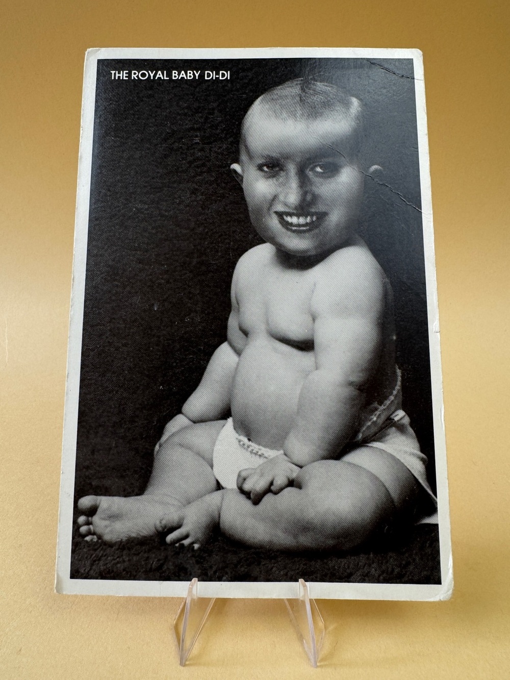 The Royal Baby Di-Di Black & White Art Print
